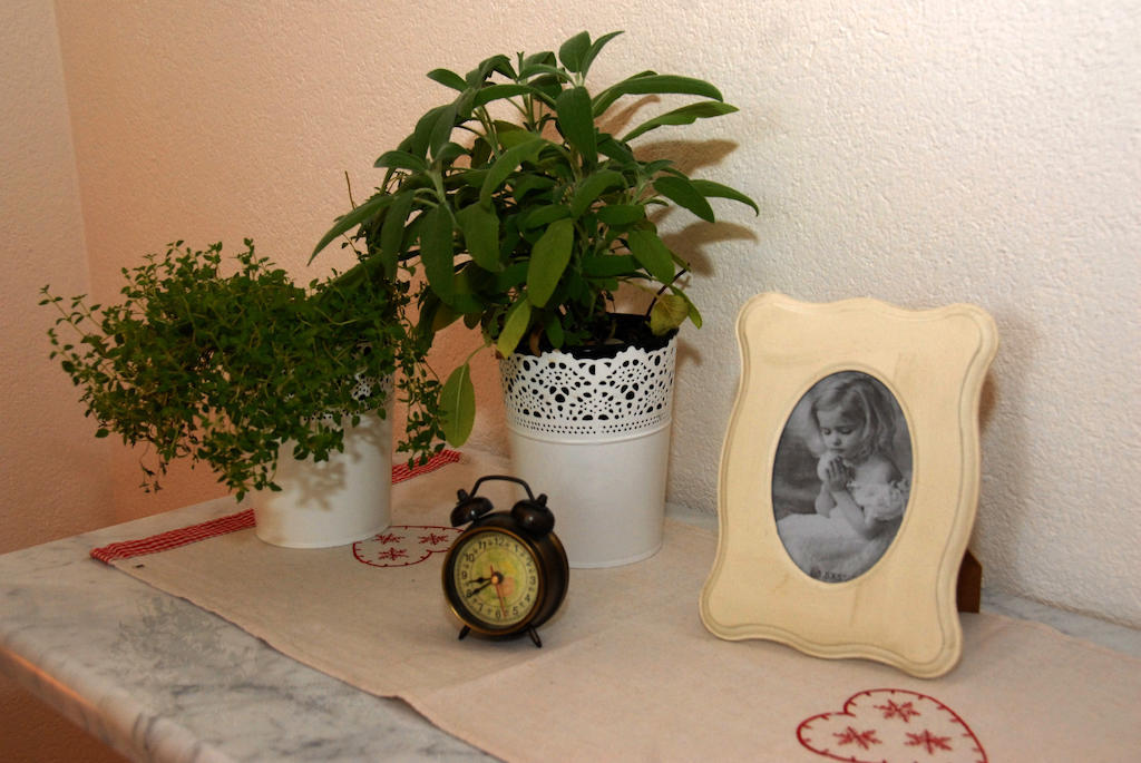 Apartments Natura Makarska Bilik gambar